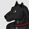 ShadowWalker's Avatar